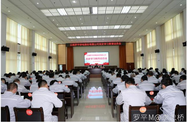 云南南宫28股份有限公司召开党史学习教育动员会